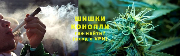 spice Арсеньев