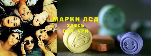 гашик Аркадак