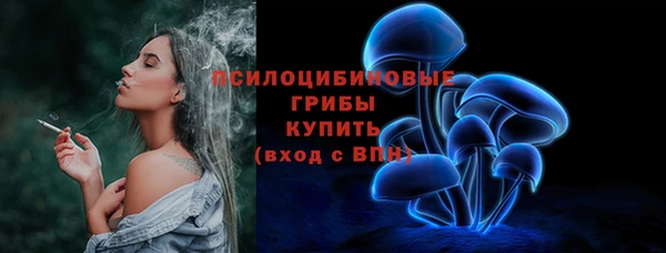 гашик Аркадак