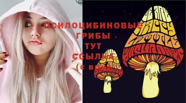 spice Арсеньев