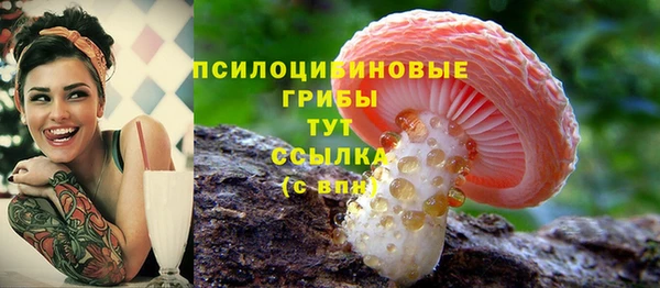 мет Армянск