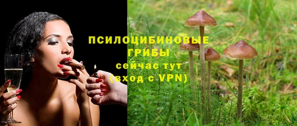 гашик Аркадак