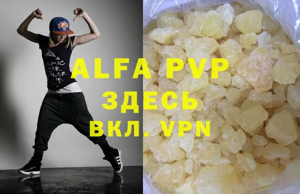 гашик Аркадак