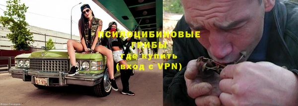 spice Арсеньев
