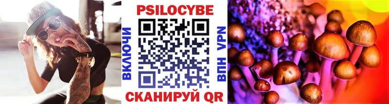 купить наркоту  Калининск  mega рабочий сайт  Псилоцибиновые грибы Cubensis 